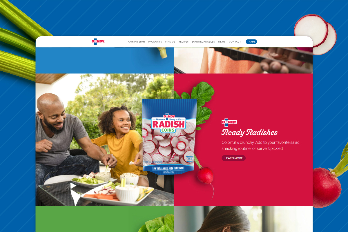 Dandy website homepage