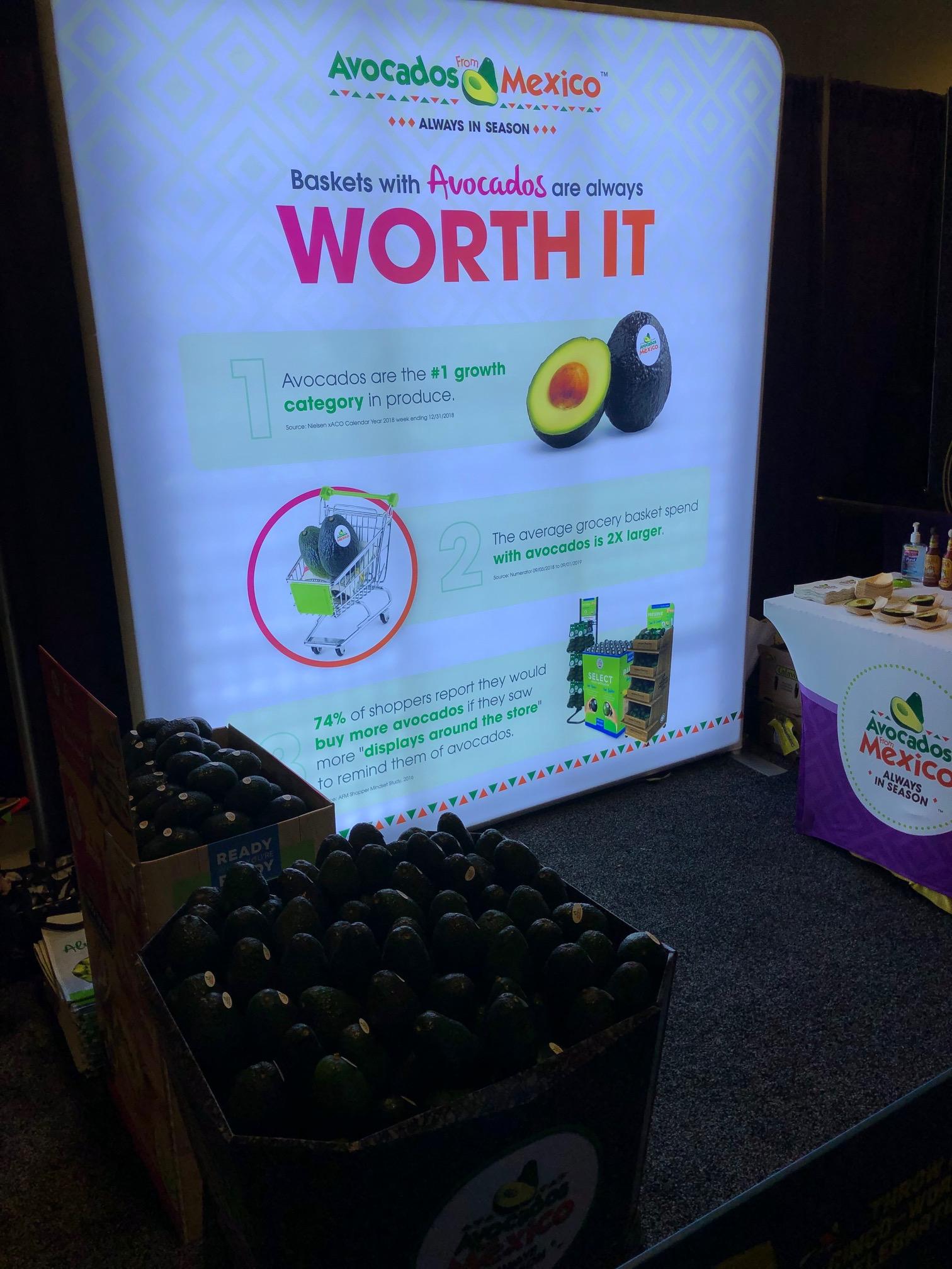 Avos from Mexico