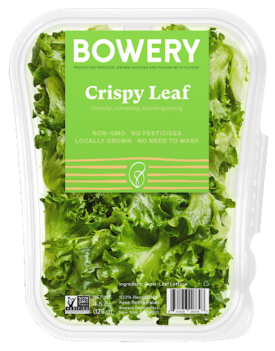 PP07 Bowery