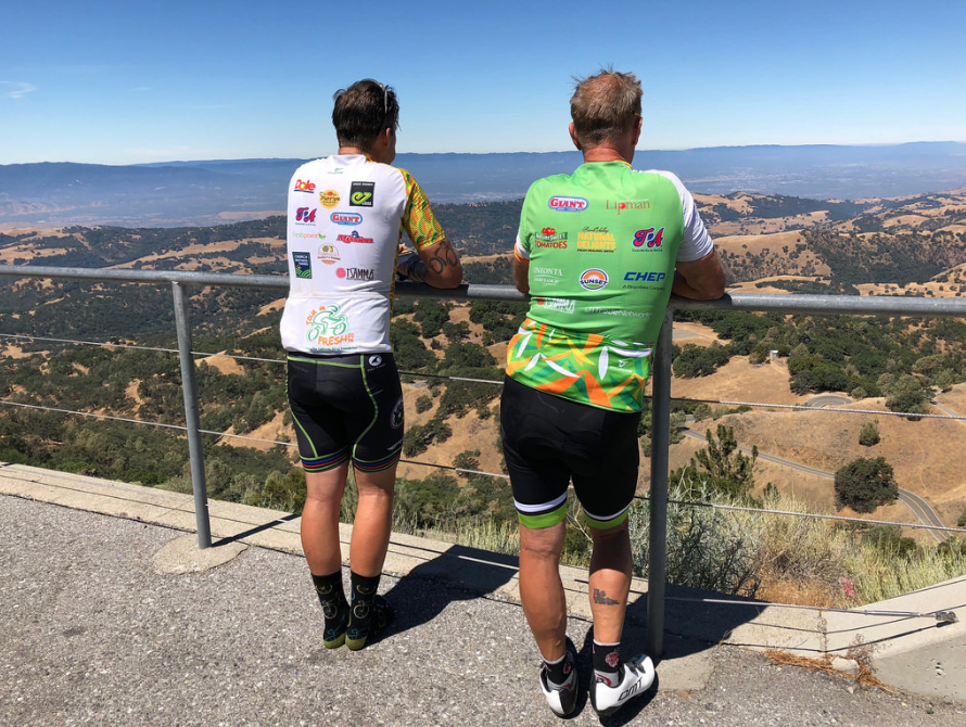 TDF 8