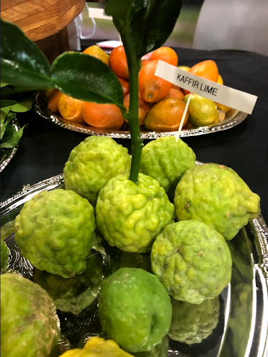 Viva Fresh 2019-What Blew Us Away-DMA Solutions-6