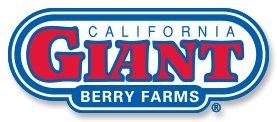 calgiant.png