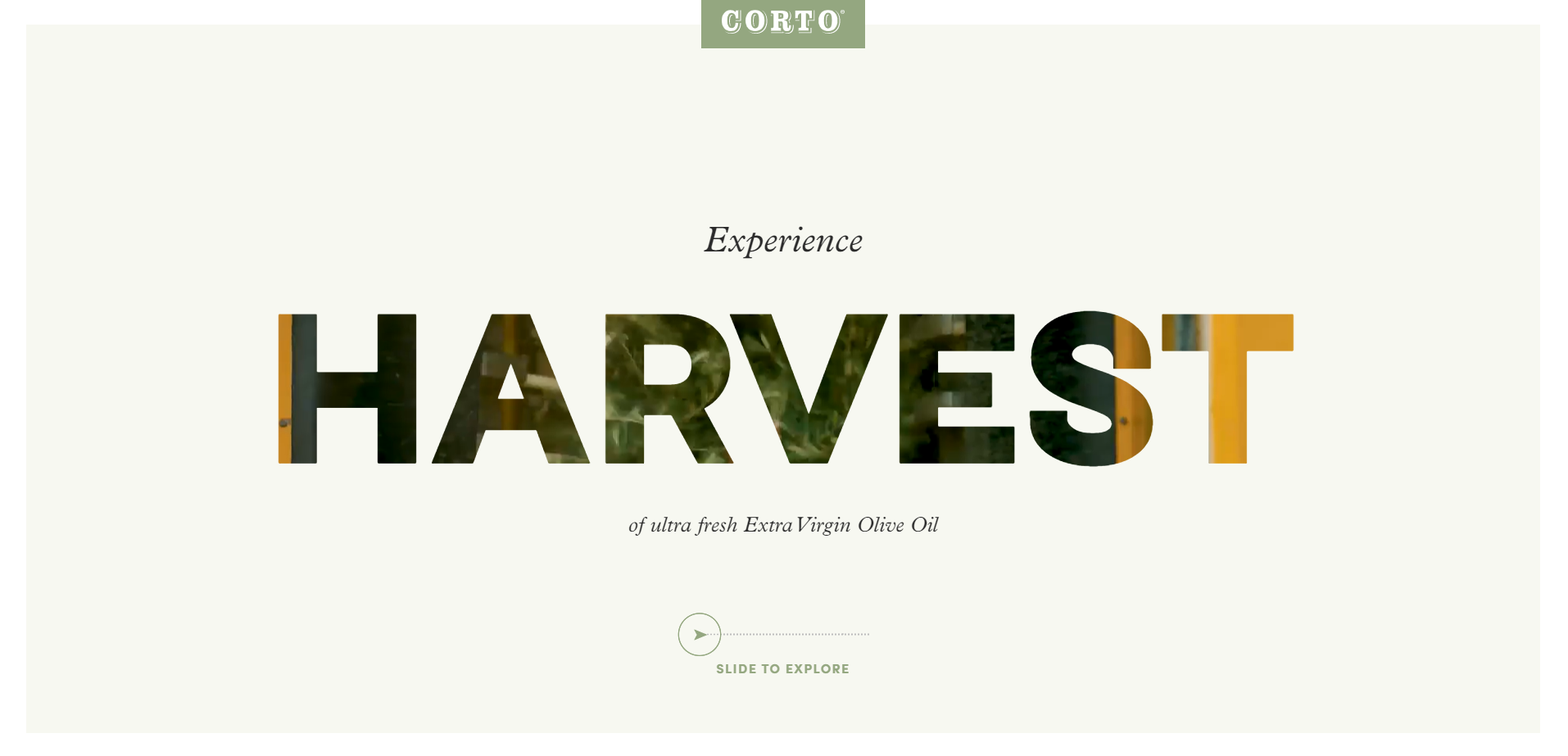 harvest corto olive oil