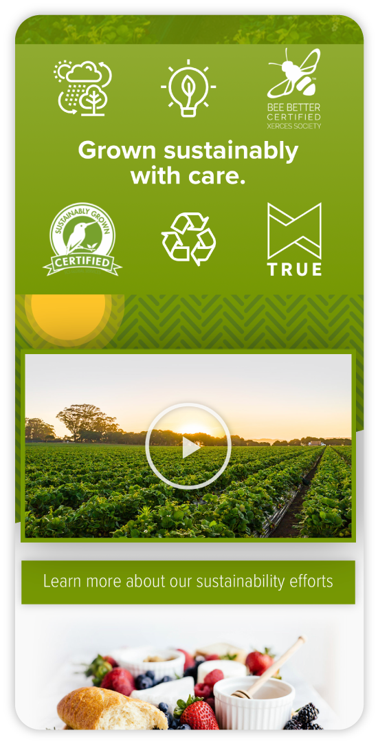 Cal Giant website at mobile size